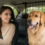 Cosa installare per viaggiare con animali in auto? La soluzione che tutela il comfort di tutti
